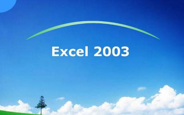 Microsoft Office Excel 2003 免费完整版