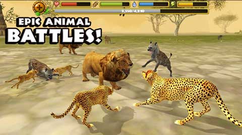 猎豹模拟器游戏(Cheetah