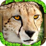 猎豹模拟器游戏(Cheetah