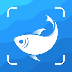 Picture Fish鱼类识别软件