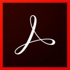 Adobe Acrobat Pro DC 2022.001.20085 | 特别版[Win版]